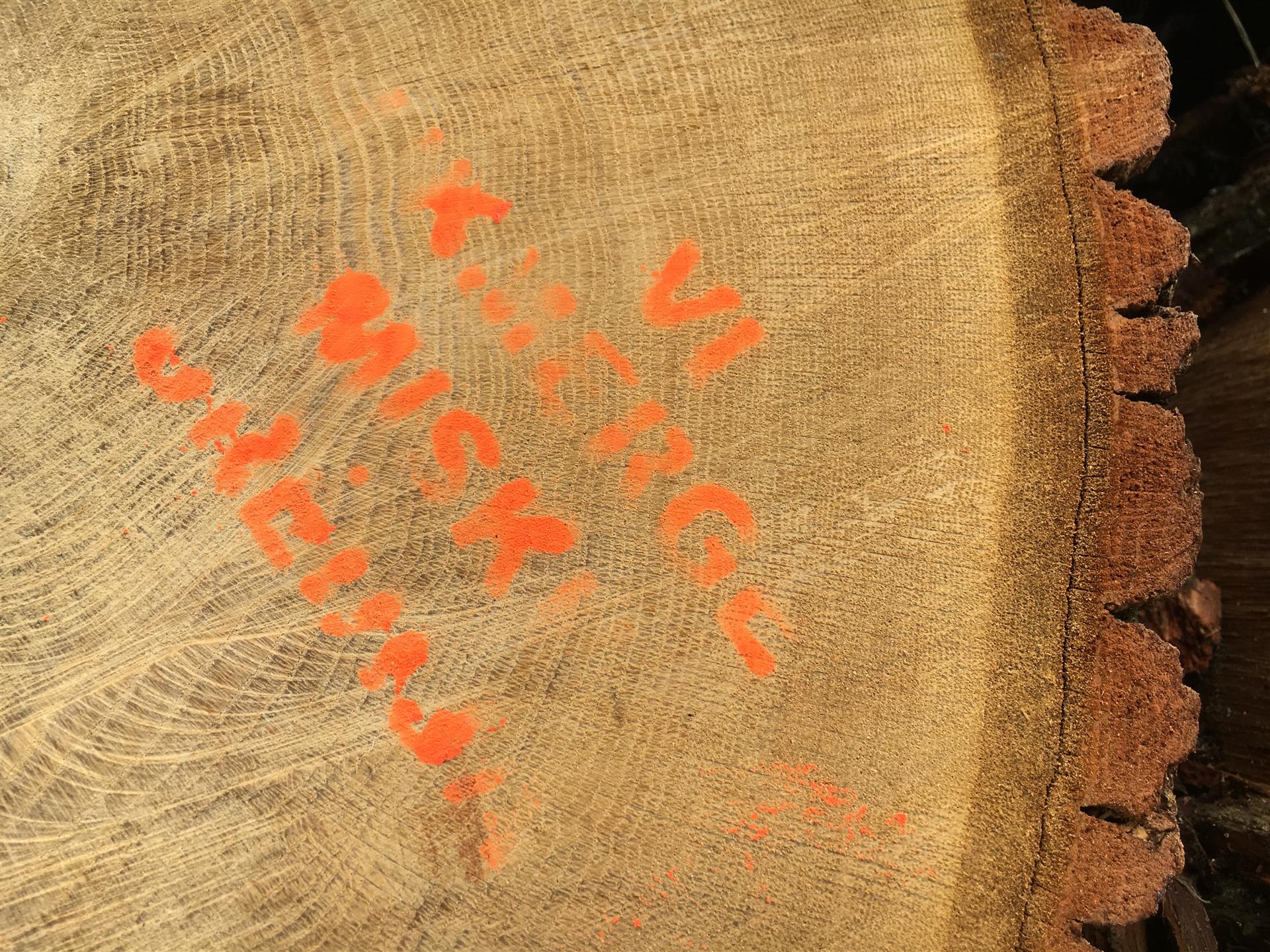 Boen Parkett Litauen : Boen: vom baum zum parkett